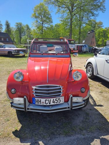 PHOTO-2026-05-01-16-34-26-4